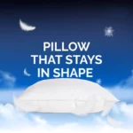 Feather/Down Pillow: 20"X26" (F-50% D-50%)